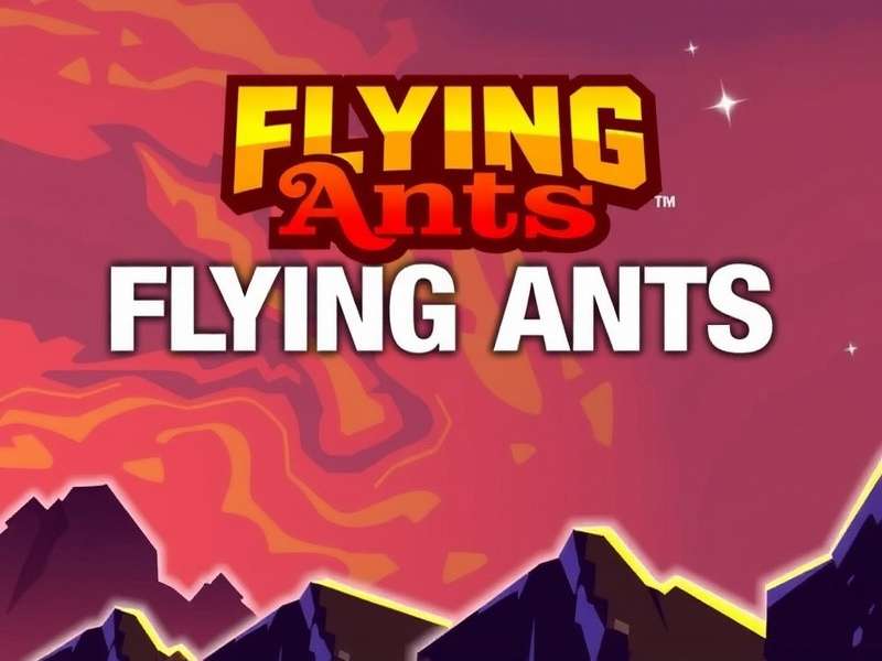 Rahul Kumar Creative Director